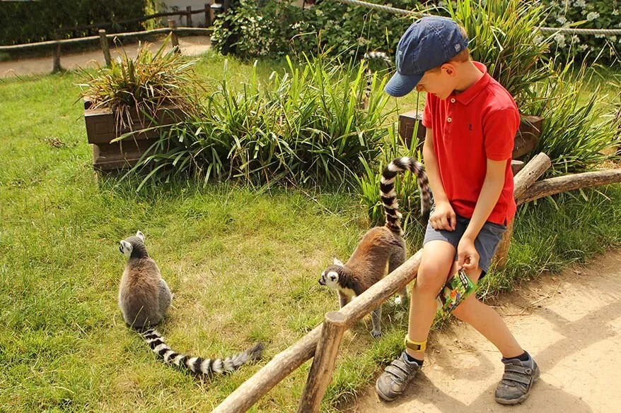 Walking among monkeys in Planckendeal zoo is great fun for kids