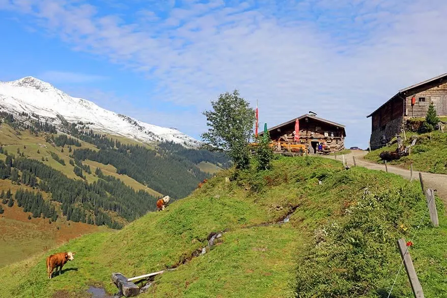 Austrian mountain chalet in Alpbachtal Tyrol