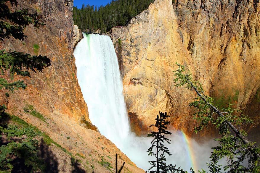 Lower Falls of the Yellowstone Grand Canyon