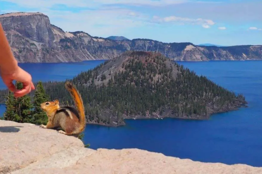 Crater Lake NP is a very family-friendly lesser known National Park to visit with kids