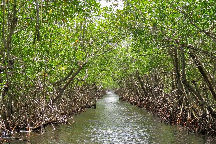 Everglades NP in Florida is one of the best USA National Parks to visit with kids