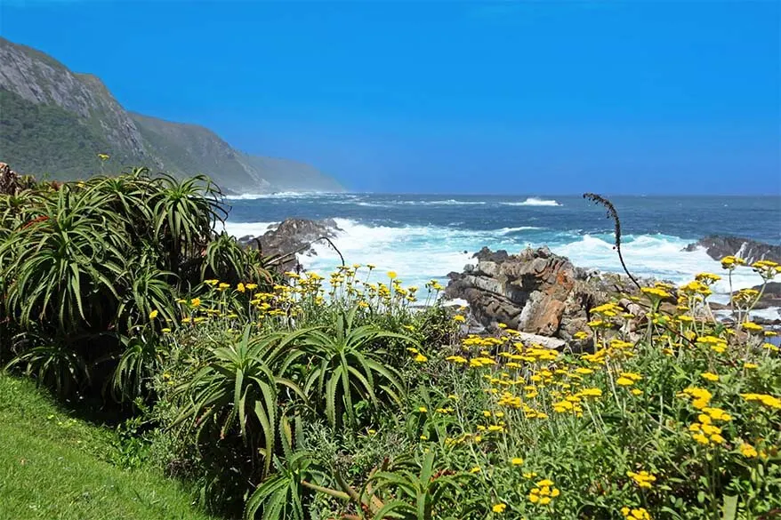 Garden Route in South Africa is one of the most scenic roads in the world