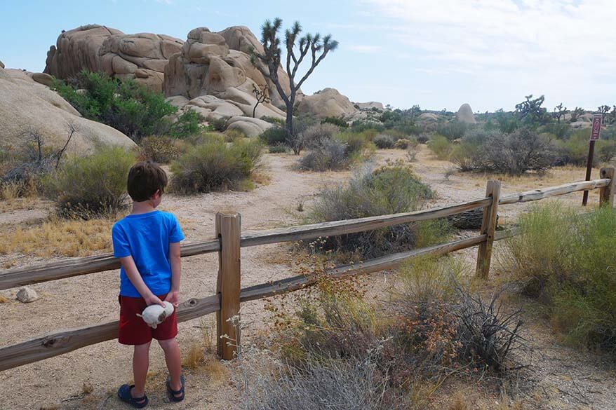 Joshua Tree National Park is quite family-friendly too
