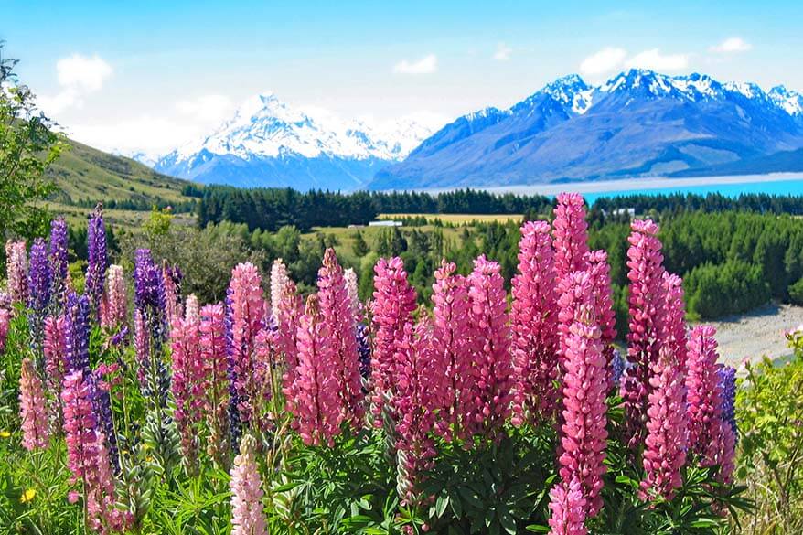 Mount Cook Road New Zealand