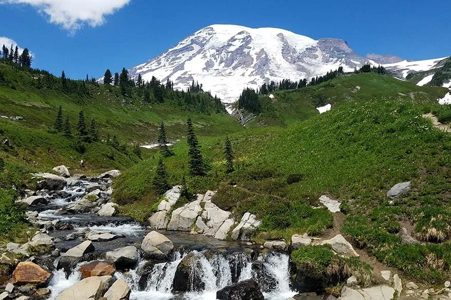 Mount Rainier National Park in Summer