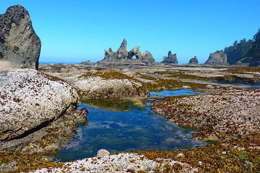 Olympic National Park