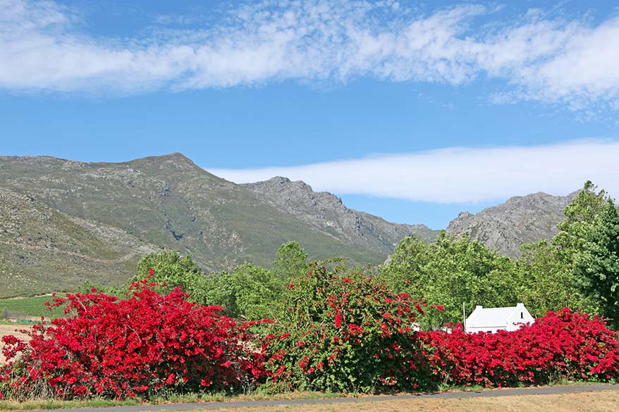 Franschhoek - Stellenbosch vingårdar region i Sydafrika