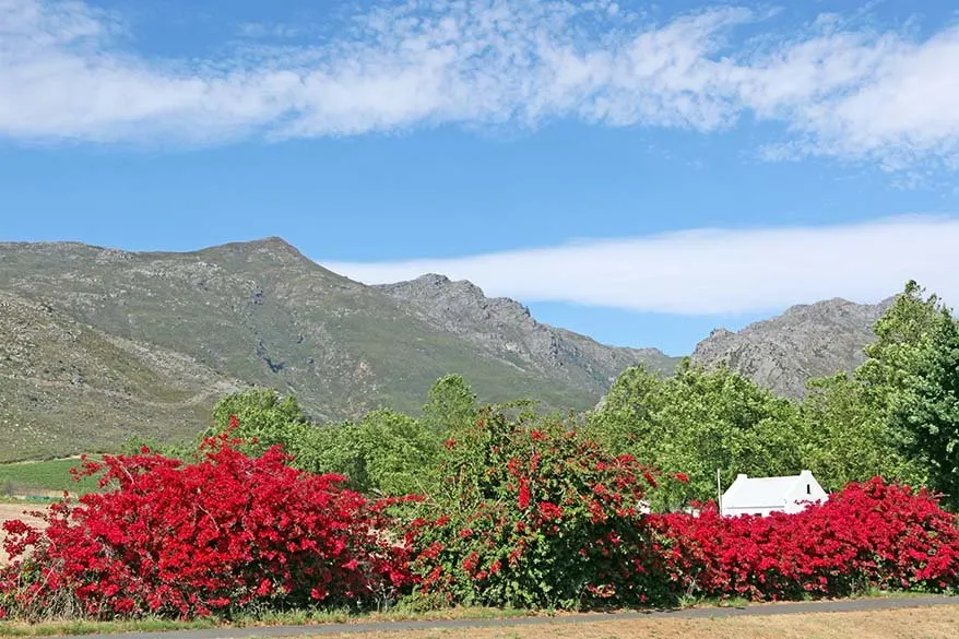 Franschhoek - Stellenbosch wineries region in South Africa