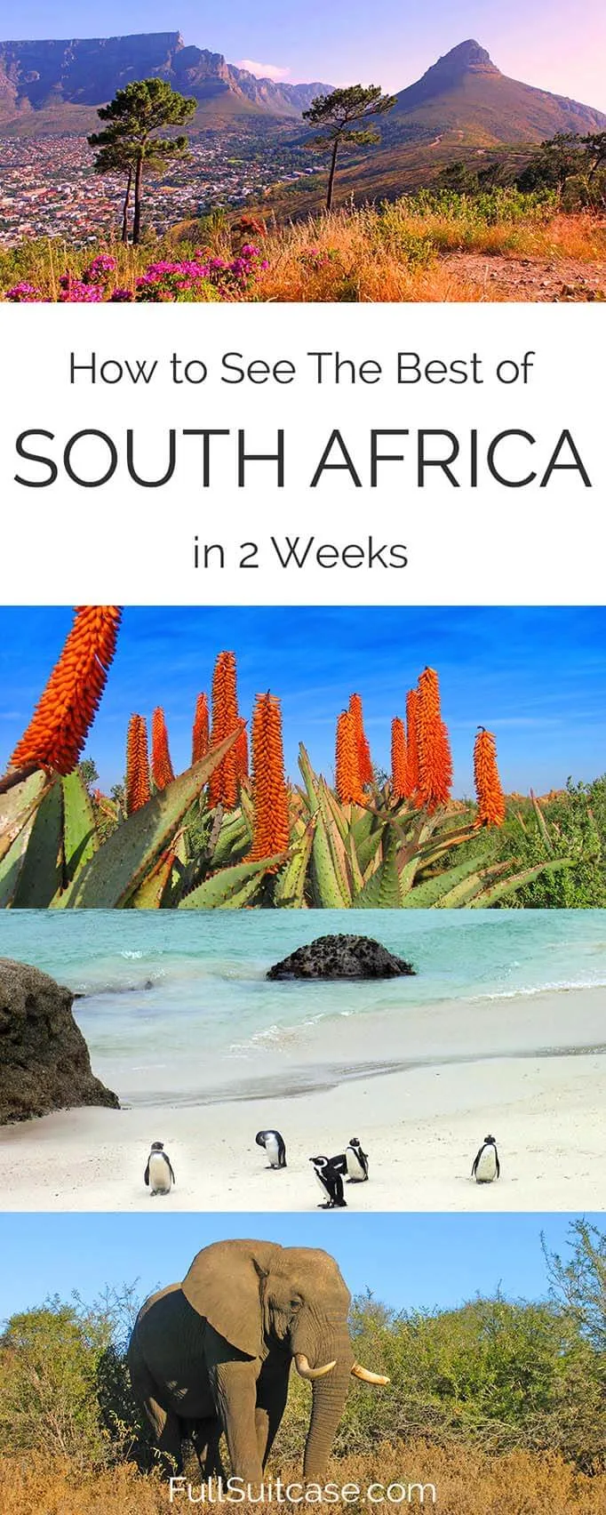See the best of South Africa with this complete 2 week itinerary