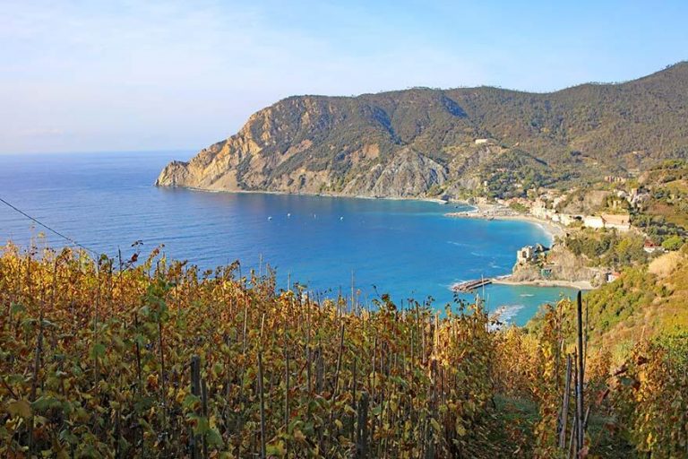 How to See The Best of Cinque Terre in One Day (+Map & Tips)