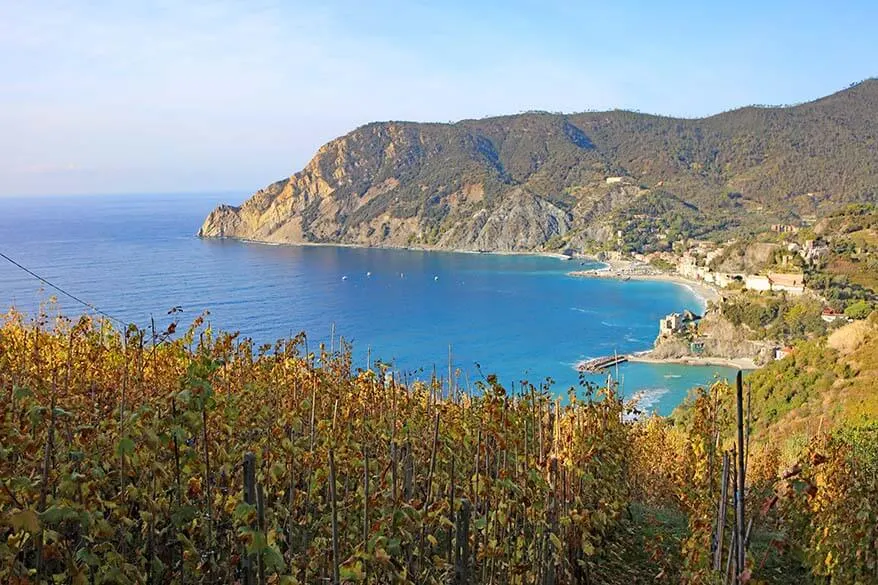 Vineyards along the Cinque Terre trail