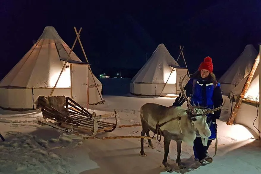 Reindeer sledding evening tour near Tromso