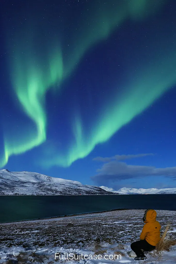 How to See the Northern Lights in Tromsø, Norway (+Best Tours & Tips)