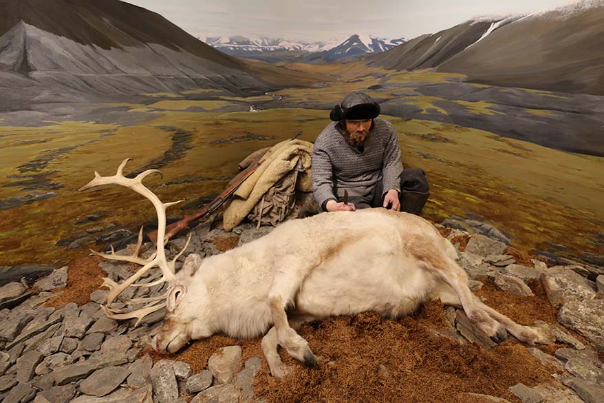 トロムソノルウェーの極地博物館