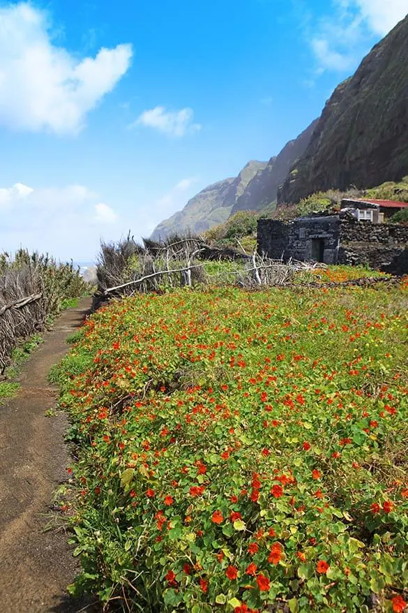 Faja da Quebrada Nova in Madeira