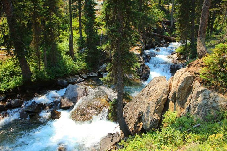 One Day in Grand Teton National Park: Jenny Lake Boat & Inspiration ...