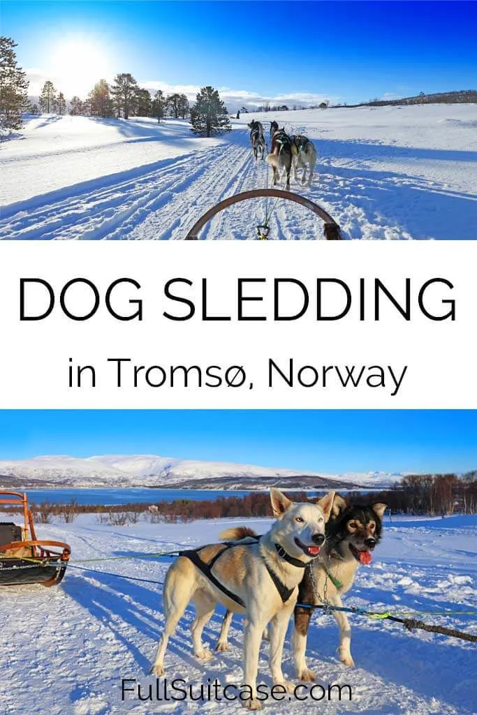 Complete guide to dog sledding in Tromso Norway