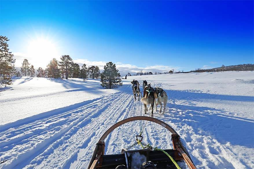 Hundeschlittenfahren in Tromso Norwegen - unsere Erfahrungen und praktische Tipps