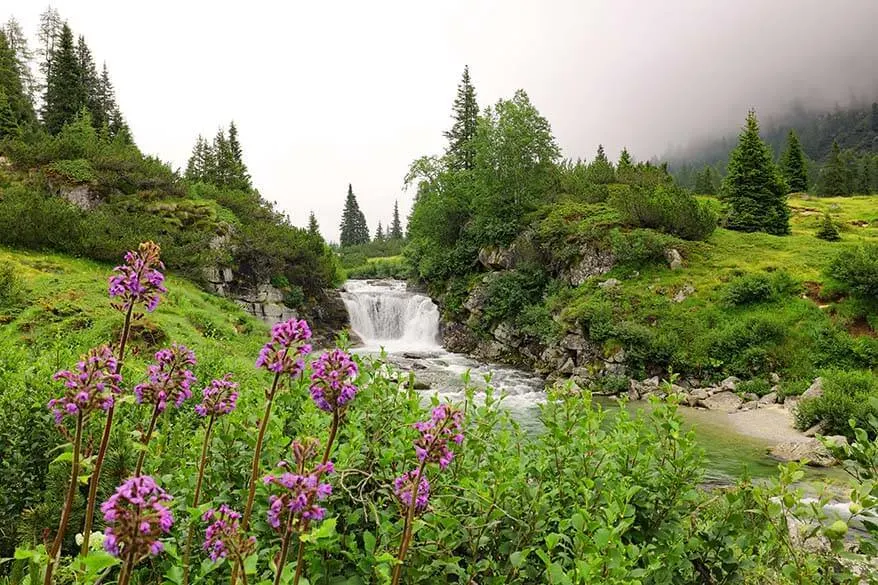 Waterfall and wildflowers along Val di Fumo hike in Italy