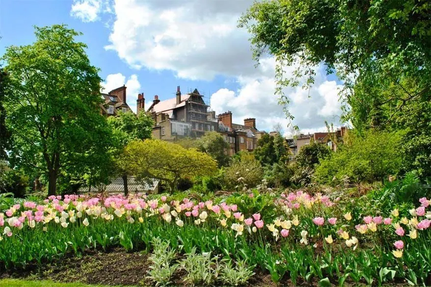 Chelsea Physic Garden in London