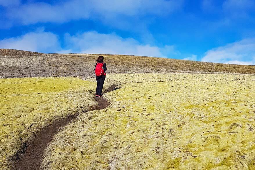 Walking in a moss field in Iceland's highlands in September