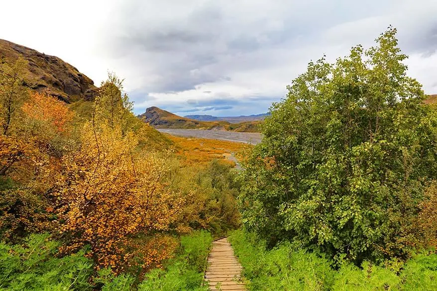 Autumn colors in Thorsmork Iceland