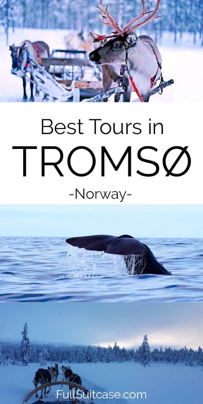 Best excursions and tours in Tromso Northern Norway