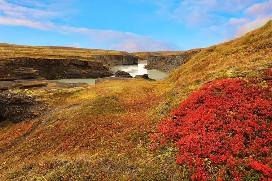 Iceland in September - beautiful autumn colours is just one of the reasons to plan September trip