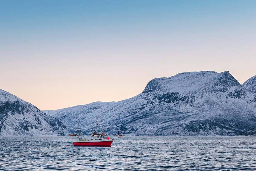 Polar fjord cruise and whale watching is one of the most popular tours in Tromso