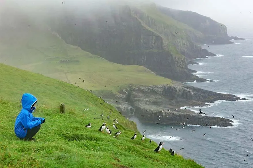 Mykines island should be on every Faroe Islands itinerary