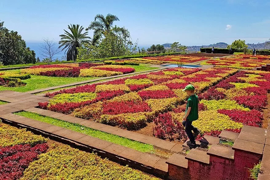 Madeira Botanical Garden - Jardim Botanico - is one of the most beautiful gardens of Funchal