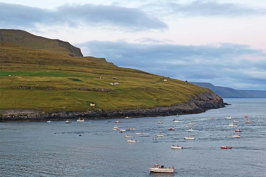 Whaling in the Faroe Islands