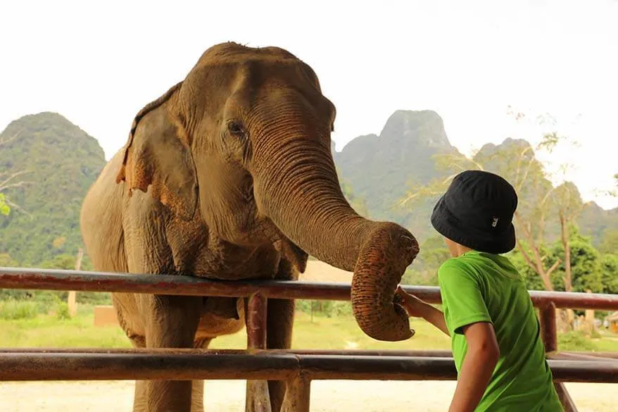 Kids feeding elephants at Elephant Hills in Khao Sok National Park in Thailand