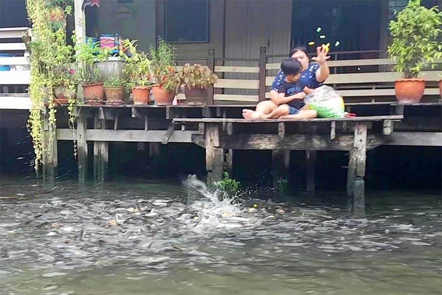 Locals feeding the fish on Bangkok's canals in Thailand