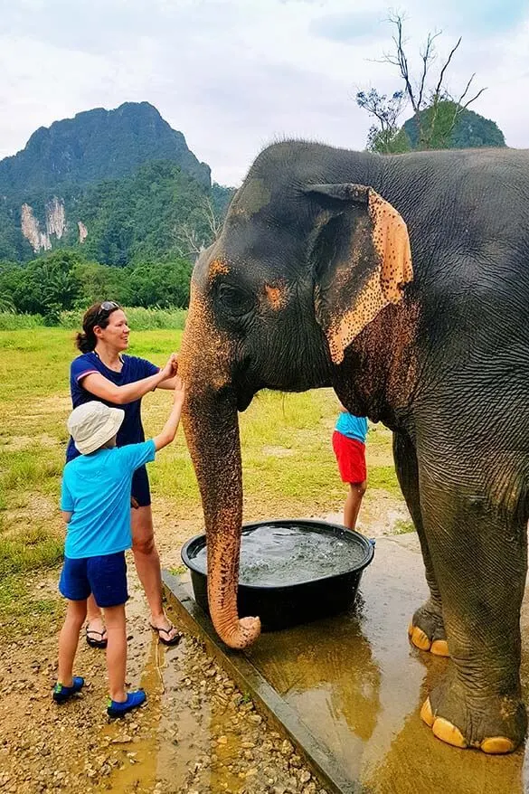 Washing an elephant was an unforgettable experience - Elephant Hills, Thailand