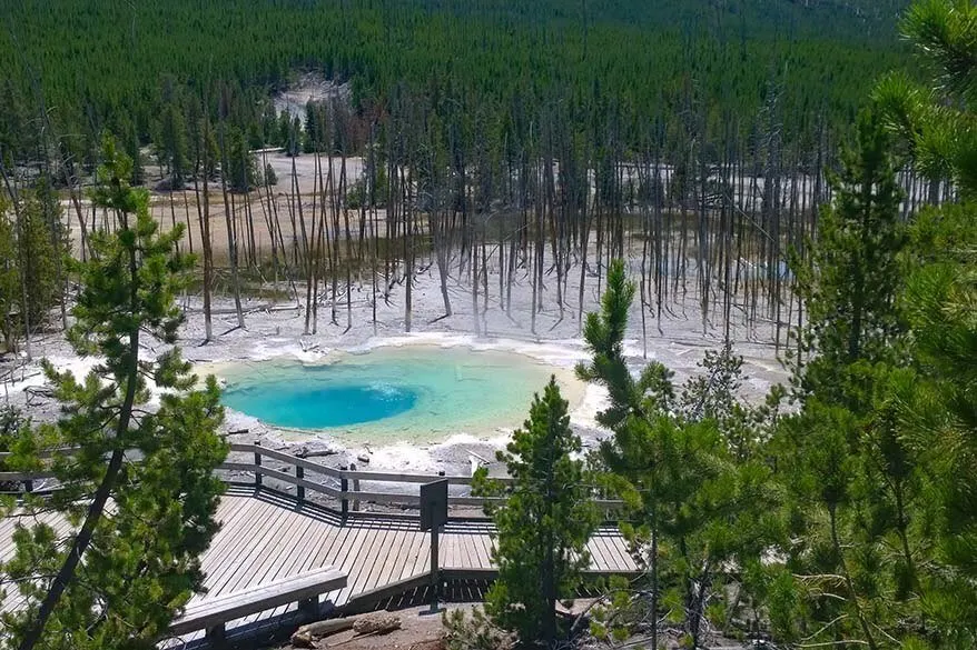 Back Basin at Norris Geyser Basin, one of the best places to see in Yellowstone