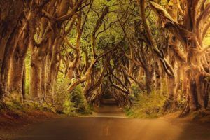 Best Game of Thrones tours