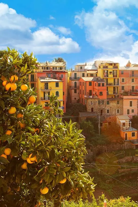 Corniglia is a town for those looking for a quieter stay or a longer vacation in Cinque Terre