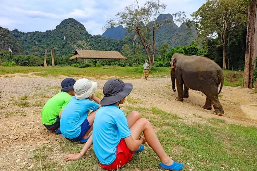 Elephant Hills with kids - family Jungle Lake safari tour review