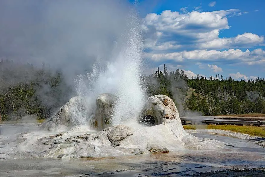 Grotto Geyser eruption in the Upper Geyser Basin, one of the best places to see in Yellowstone