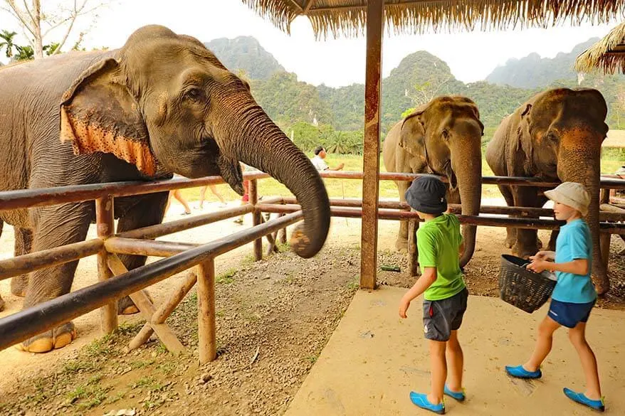 Kids feeding elephants at the Elephant Hills in Khao Sok NP Thaiand