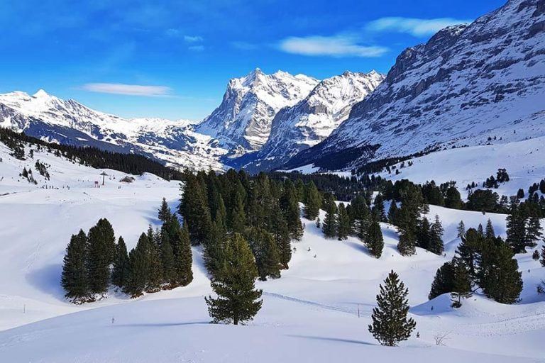 Mountain Scenery Of Switzerlands Jungfrau Region In Winter 768x512 