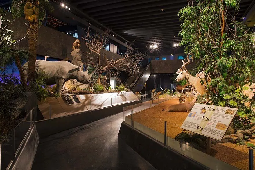 Natural History Museum is one of the best museums to visit in Geneva, Switzerland