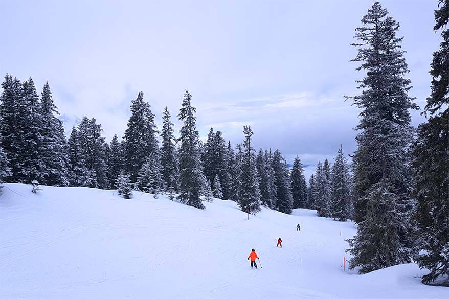 Skiing in Haslital with kids - great family oriented ski area in the Jungfrau Region, Switzerland