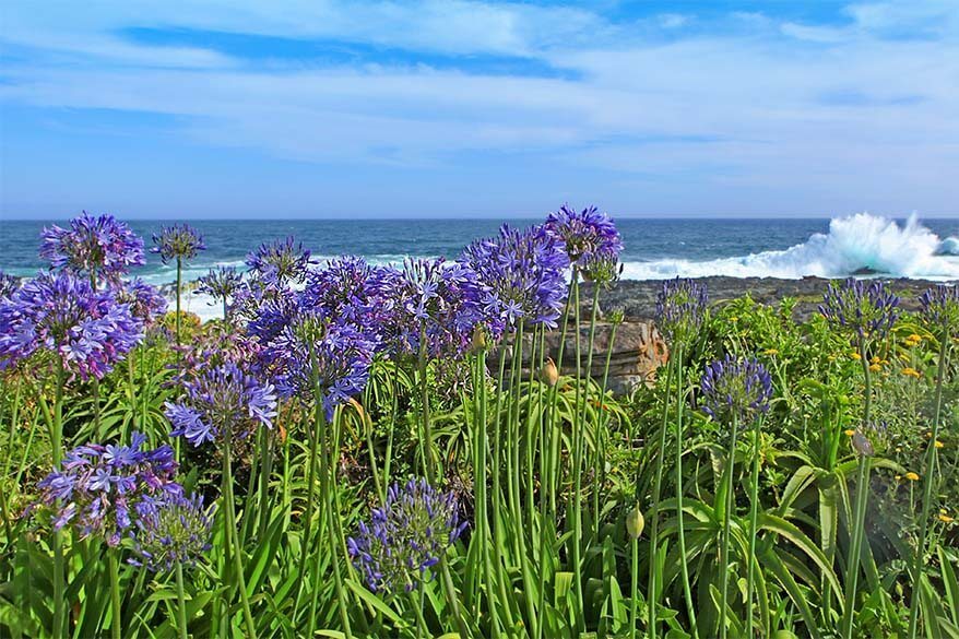 Tsitsikamma National Park ao longo da Rota Jardim - bela região para visitar na África do Sul