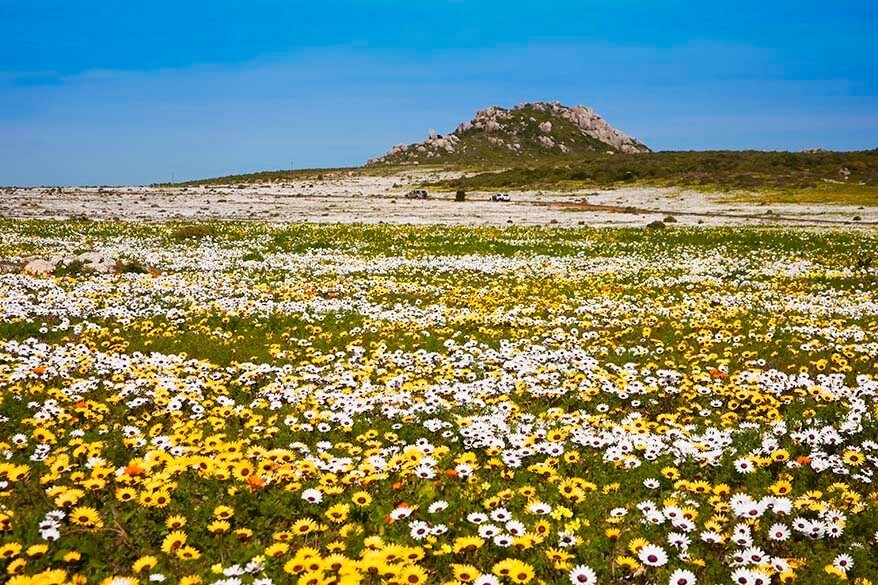 Parc national de la Côte Ouest - l'un des plus beaux endroits à visiter en Afrique du Sud