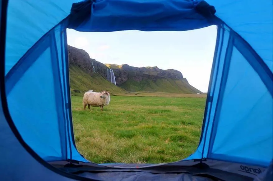 Tent camping in Iceland - experience and tips