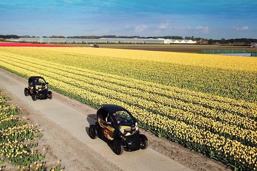 Amazing way to see Lisse tulip fields in the Netherlands on your own