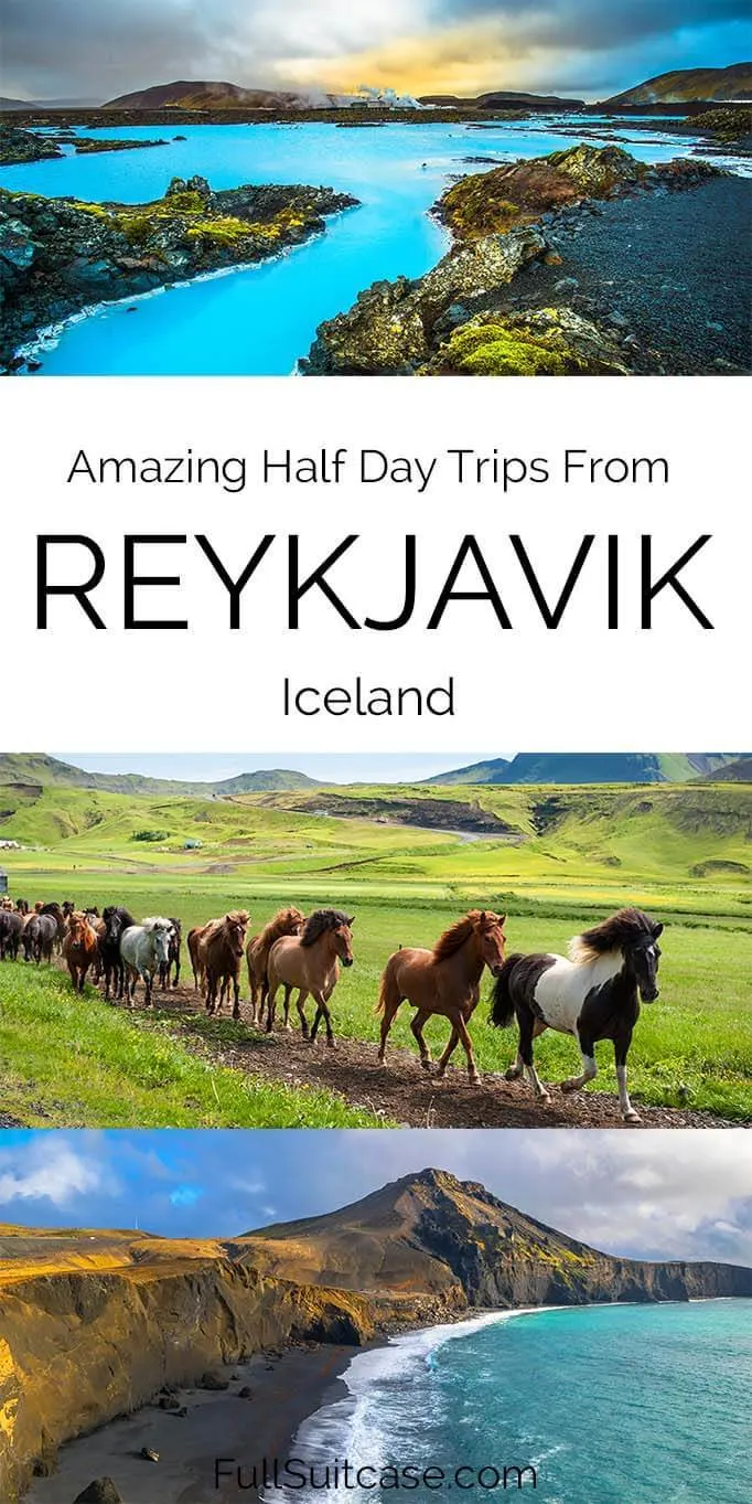Best half day trips and tours from Reykjavik in Iceland