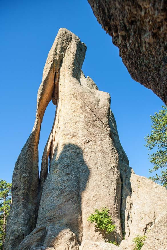 Formation de l'œil de Needles - Custer State Park dans le Dakota du Sud aux États-Unis